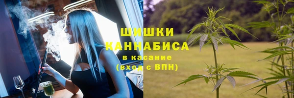сатива Арсеньев