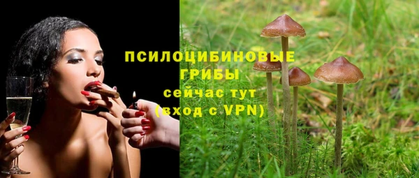 сатива Арсеньев