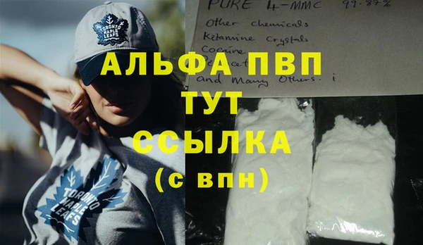 сатива Арсеньев