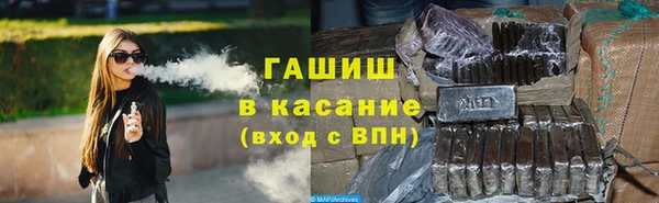 сатива Арсеньев
